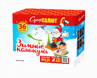 8a236b2d-60f8-11ee-980b-00e26969fc29_8a236b2f-60f8-11ee-980b-00e26969fc29 Зимние каникулы (0.8х36) 8/1